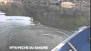 Devenir un expert de la pêche au Sandre [upl. by Eelyk]