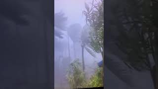 TYPHOON ODETTE RAI DESTROYED SIARGAO 😢😰GLIMPSE OF REAL STORM CTTO shorts TYPHOONODETTE [upl. by Dnalrah]