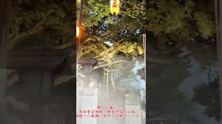 The Tenno Festival of the historic shrine in Utsunomiya City⑤ 宇都宮市歴史ある神社天王祭⑤Futaarayama Shrine 二荒山神社 [upl. by Had]