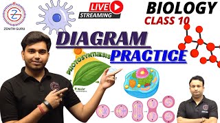 DIAGRAM PRACTICE  Class 10  Lec3 By Ashutosh Sir zenithguru biology [upl. by Gio]