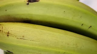 Cooking with Maudz23 is livePEELING PEELING AND BOILING ASMR GREEN BANANAS  VIRAL LIVE [upl. by Ettedanreb]