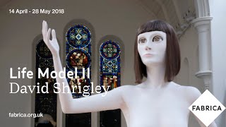 Life Model II by David Shrigley Fabrica 2018 [upl. by Kendall]