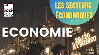 Les secteurs dactivité économiques  primaire secondaire et tertiaire [upl. by Viridis718]