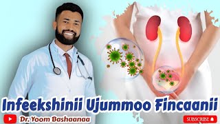 Infeekshinii ujummoo fincaanii  urinary tract infection [upl. by Clayborn]