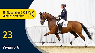 No 23 Viviano G by Vivino  Wolkentanz  Verden Auction Online  Sporthorses  November 16th [upl. by Nilhsa170]