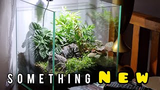 What to do with an old fish tank Make a TERRARIUM [upl. by Saum]