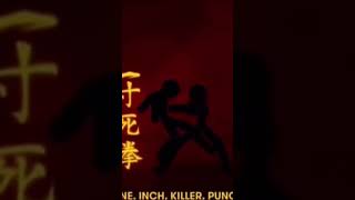 One inch killer punch [upl. by Doykos]