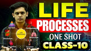 Life Processes Complete Chapter🔥 CLASS 10 Science  NCERT Covered Prashant Kirad [upl. by Otrevire516]