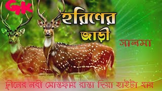 দ্বীনের নবী মোস্তফায় রাস্তা দিয়া হাইটা যায়  সালমা ইসলামী Dener nobi mostofa rashta diya haita jay [upl. by Enoob386]