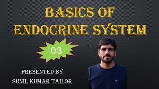 endocrine system anatomy amp physiology  Part 3  By Sunil Tailor Sir [upl. by Sweet765]