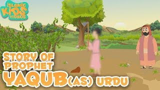 Prophet Stories In Urdu  Prophet Yaqub AS Story  Quran Stories In Urdu  Urdu Cartoons [upl. by Orazio500]