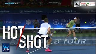 Hot Shot Pouille Sprints For Backhand Winner In Dubai 2018 [upl. by Buskus739]