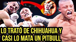 Lo llamó CHIHUAHUA y PAGÓ el PRECIO de Ofender a un MEXICANO [upl. by Ayyidas169]