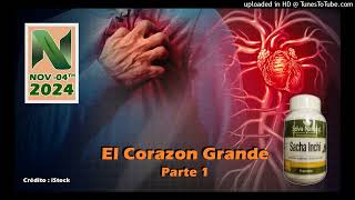 20241104ElCorazonGrande1 [upl. by Aitnahs]