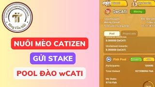 Hướng Dẫn Gửi Stake Catizen Nhận wCATI Nuôi Mèo Mạng TON l Blog Của Hải [upl. by Yesnnyl882]