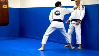 RG 360 Gracie JiuJitsu Self Defense Demo [upl. by Noda717]