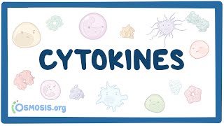 Cytokines [upl. by Sacul]