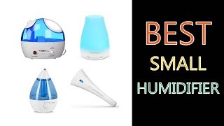 Best Small Humidifier [upl. by Behl]