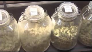 Florida Opens First Medical Marijuana Dispensary [upl. by Kaz]