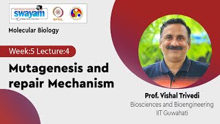 Lec 24 Mutagenesis and repair Mechanism [upl. by Goulden]