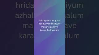 Hridayam muriyum vazha movie song [upl. by Radnaskela]