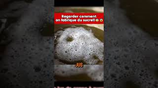 C’est comme ça qu’ils fabriquent le sucre 😱 shorts food recipe howtomake streetfood feed [upl. by Acinnod]