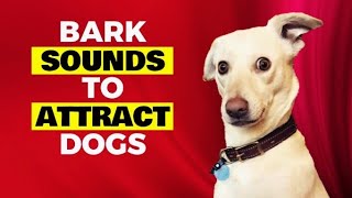 Barking Sounds To Attract Dogs Dogs Barking [upl. by Claiborn]