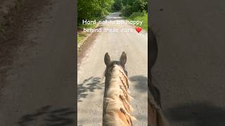 First summer trail ride ☀️❤️ EquestrianElla equestrian horses ilovemyhorse [upl. by Saitam]