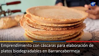 Emprendimiento con cáscaras para elaboración de platos biodegradables en Barrancabermeja [upl. by Brechtel]