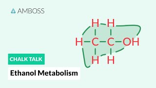 Ethanol Metabolism Alcohol Breakdown in the Body [upl. by Aggappora]