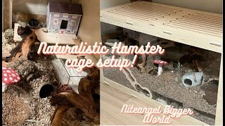 Naturalistic Hamster Cage Setup  NITEANGEL BIGGER WORLD HAMSTER CAGE [upl. by Mosera41]