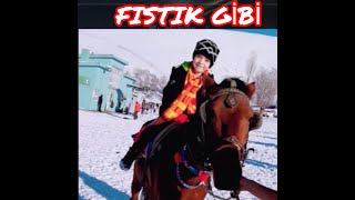 FISTIK GİBİ [upl. by Aikrehs889]