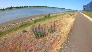 Zomerse wandeling langs de Nieuwe Waterweg bij Maassluis [upl. by Ocker426]