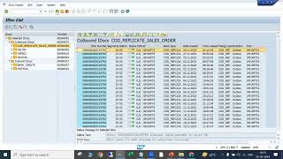 SAP SD Idoc knowledge for SAP Functional consultant WE02WE05WE09WE19BD87 [upl. by Dhiren810]