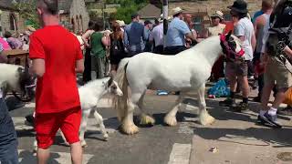 Appleby Horse Fair Saturday 2023 3rd Day [upl. by Domenic]