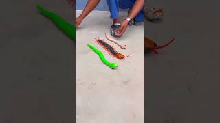 Remote Control Kankhajura and RC Snake rcsnake [upl. by Ethbinium]