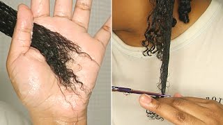 AT HOME Trimming Wet Natural Hair Routine  DIY Twists Method  NO HEAT [upl. by Goeselt]