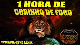 CORINHO DE FOGO PENTECOSTAL VOL 5 CD COMPLETO 2024 [upl. by Nahguav]