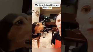 Try not to laugh with these dogs😅😆 trynottolaugh worldfunniestvideo [upl. by Venezia]