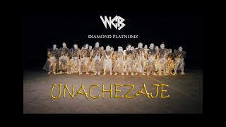 Diamond Platnumz  Unachezaje Official Music Video [upl. by Essirehs271]