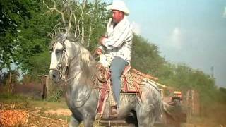 Banda Estrellas de Sinaloa  El Palo Verde VIDEO OFICIAL [upl. by Ainezey]