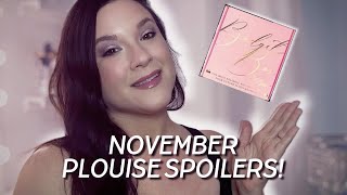 NOVEMBER 2024 PLOUISE BUDGET BOX SPOILERS amp SNEAK PEEKS [upl. by Ayocal2]