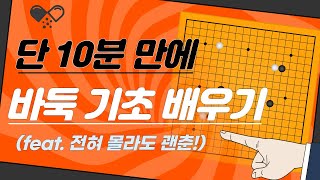 바둑 입문 1 단 10분 만에 바둑의 기초 배우기 [upl. by Fitts]