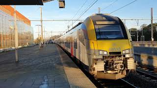 Siemens Desiro arrives in Brugge [upl. by Orvil146]