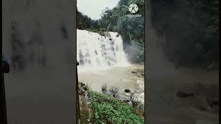 Coorg waterfalls  Abbey waterfalls  travel  trip YouTube shorts  viral video  srilakshmi [upl. by Loredo]