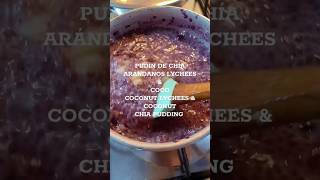 Tropical Chia Pudding  Coconut lychees amp blueberries [upl. by Attehcram144]