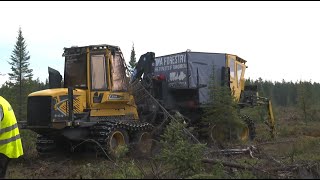 PlantMax  Premier test en sol québécois à Amos [upl. by Maury238]