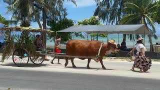 CNMI celebrates 78th Liberation Day [upl. by Tisbee]