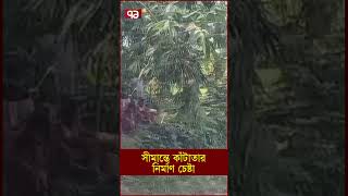 সীমান্তে কাঁটাতার নির্মাণ চেষ্টা [upl. by Bohlin]