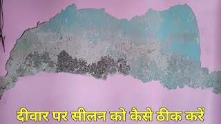 How To Repair Damp Wall With Waterproof putty  Damp Wall Solution  Treatment  Wall Seelan 2022 [upl. by Erbma]